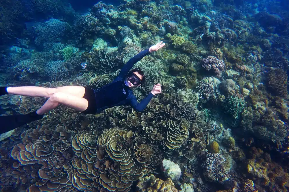 freediving at banda sea by samara